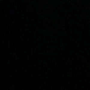 Meet your Posher, Audrey